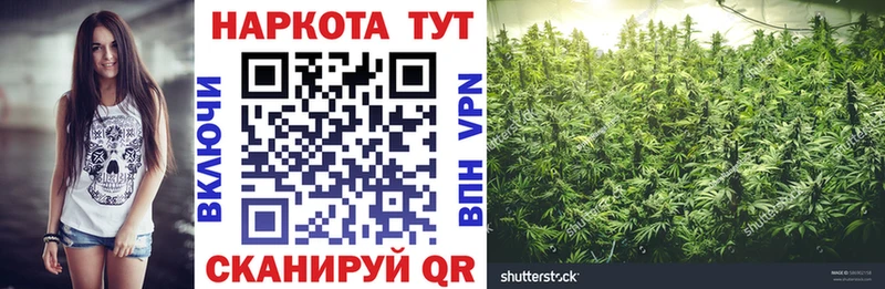Купить наркотик Ульяновск Alpha PVP Cocaine Меф Канабис Гашиш