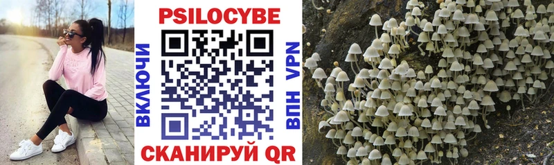 mega рабочий сайт  Ульяновск  Галлюциногенные грибы Psilocybe  купить наркотик 